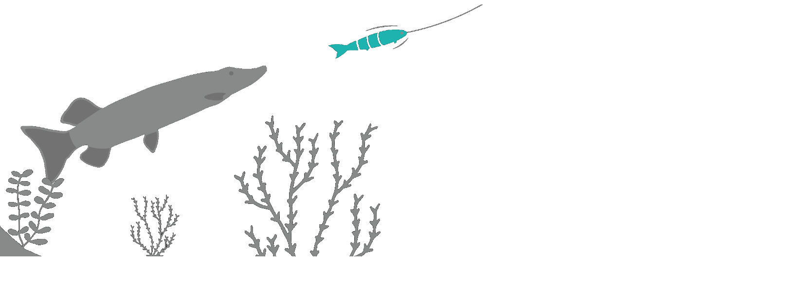 bienvenue chez worldshop fishing